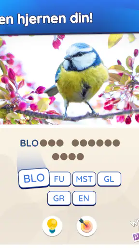 Words in a Pic - Norsk screenshot