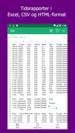 Work Log: Tidssjema & Faktura screenshot
