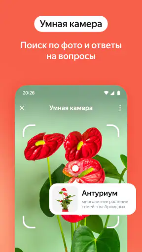 Яндекс — с Алисой AI screenshot