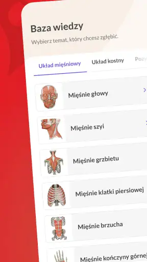Anatomik screenshot