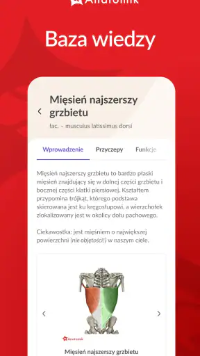 Anatomik screenshot