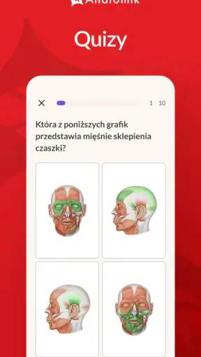 Anatomik screenshot