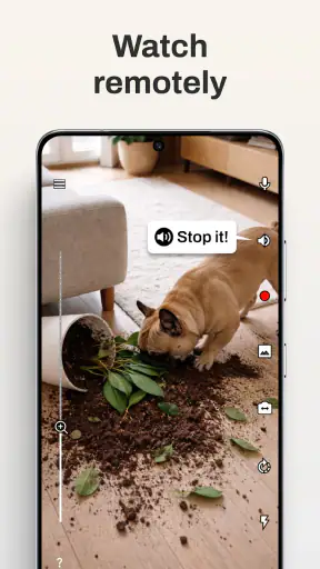 Camy — Live Video CCTV screenshot