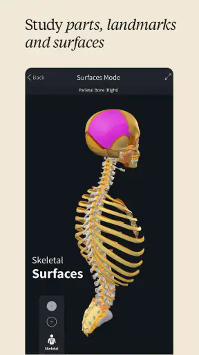 Complete Anatomy - Learn in 3D screenshot