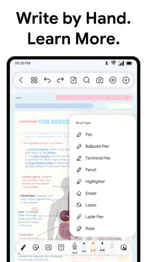 Freenotes: Notatki AI i PDF screenshot