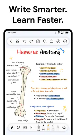Freenotes: Notatki AI i PDF screenshot