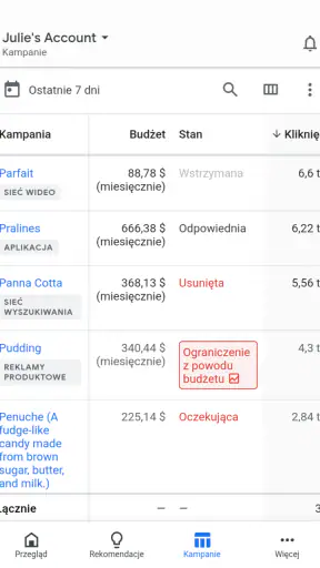 Google Ads screenshot
