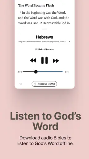 Holy Bible Offline NIV KJV App screenshot