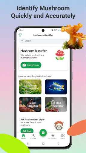 Identyfikator grzybów screenshot