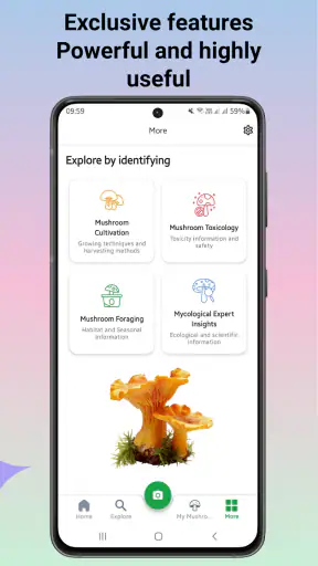 Identyfikator grzybów screenshot