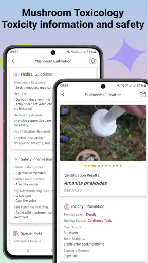 Identyfikator grzybów screenshot
