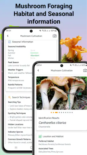 Identyfikator grzybów screenshot