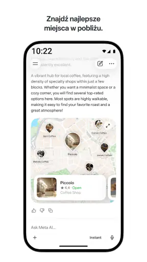 Meta AI screenshot