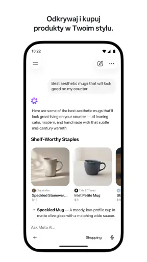 Meta AI screenshot