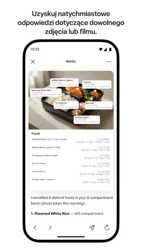 Meta AI screenshot