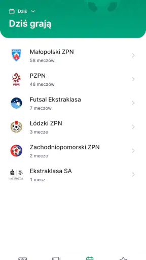 mPZPN screenshot