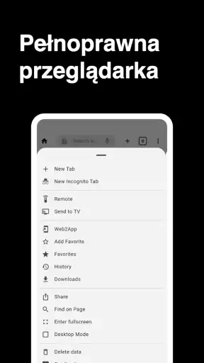 Przeglądarka screenshot