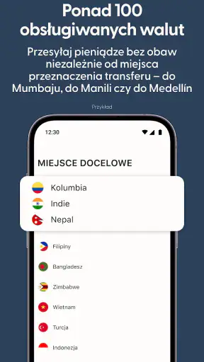 Remitly: wyślij pieniądze screenshot