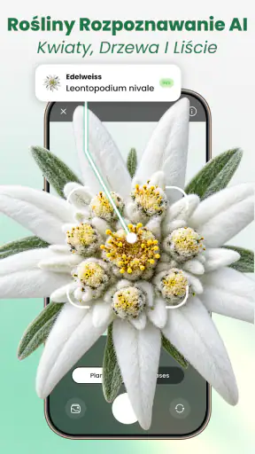 Rośliny Rozpoznawanie: AI screenshot