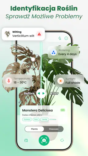Rośliny Rozpoznawanie: AI screenshot