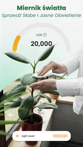 Rośliny Rozpoznawanie: AI screenshot