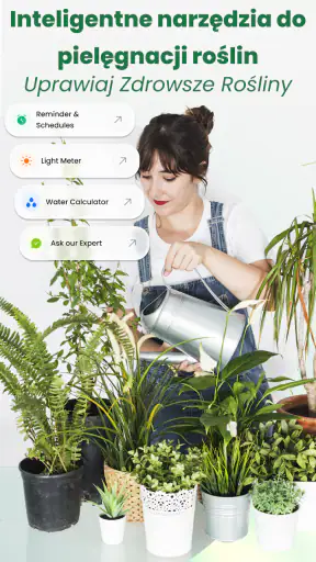 Rośliny Rozpoznawanie: AI screenshot