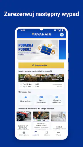 Ryanair screenshot
