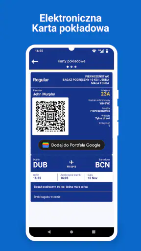 Ryanair screenshot