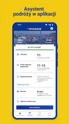 Ryanair screenshot