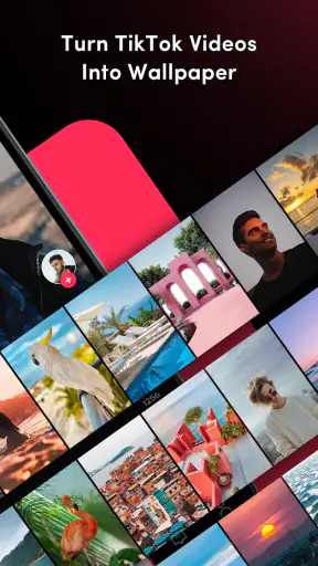 TickTock-TikTok Live Wallpaper screenshot