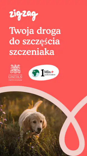 Zigzag - Trening szczeniąt screenshot