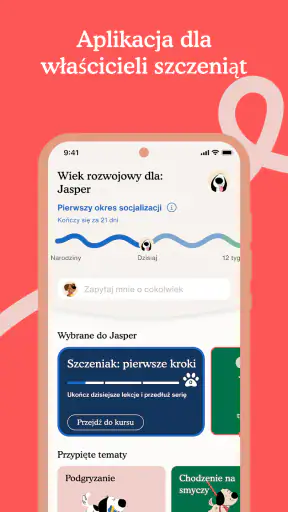 Zigzag - Trening szczeniąt screenshot