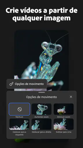 Adobe Firefly: gerador de IA screenshot