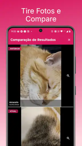 Agenda Capilar e Facial screenshot