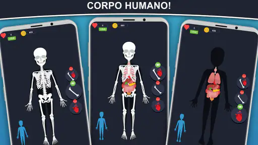 Anato Trivia - Quiz Anatomía screenshot