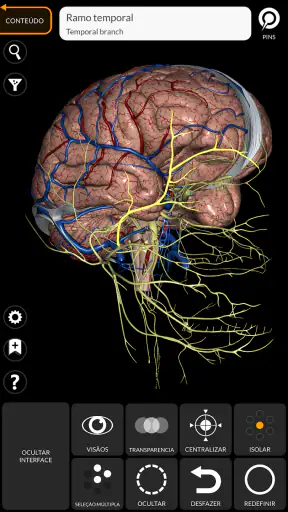 Anatomia - Atlas 3D screenshot