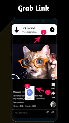 Baixador de vídeo para TT screenshot
