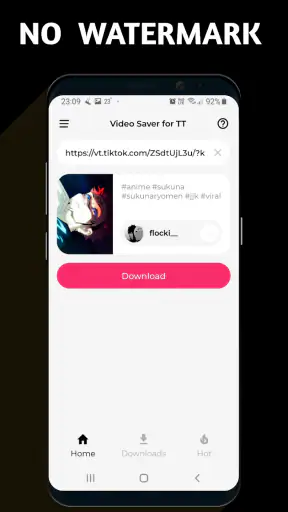 Baixador de vídeo para TT screenshot