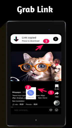 Baixador de vídeo para TT screenshot