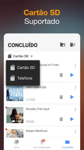 Baixador de Vídeos screenshot