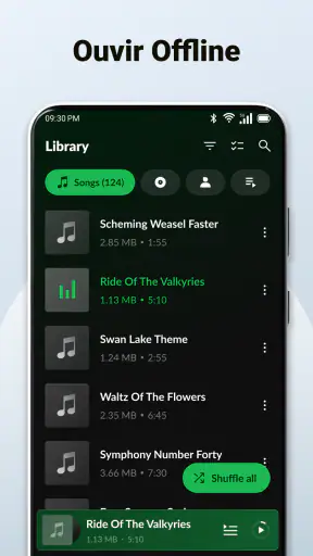 Baixar Músicas e Player MP3 screenshot