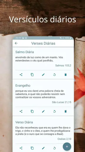 Bíblia Ave Maria screenshot