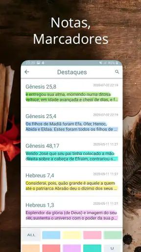 Bíblia Ave Maria screenshot