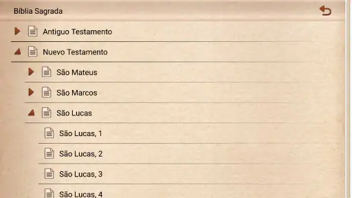 Bíblia Católica Ave Maria screenshot