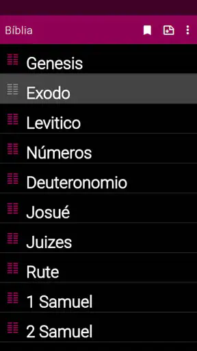 Bíblia de estudo pregai audio screenshot