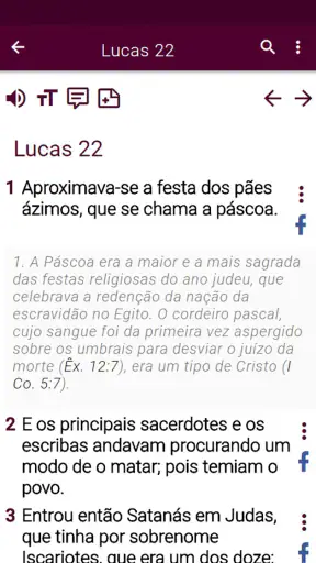 Bíblia de estudo pregai audio screenshot