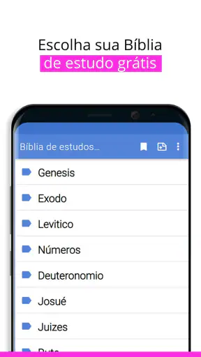 Bíblia estudos com explicações screenshot