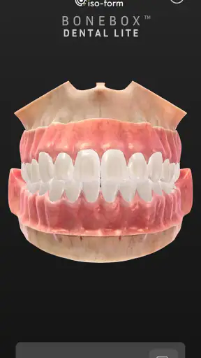 BoneBox™ - Dental Lite screenshot
