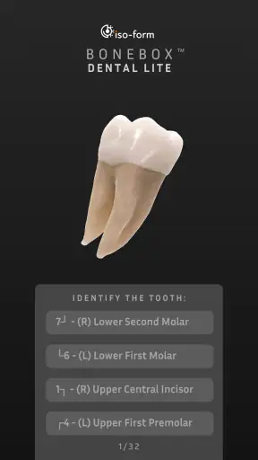 BoneBox™ - Dental Lite screenshot