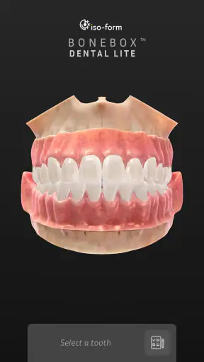 BoneBox™ - Dental Lite screenshot